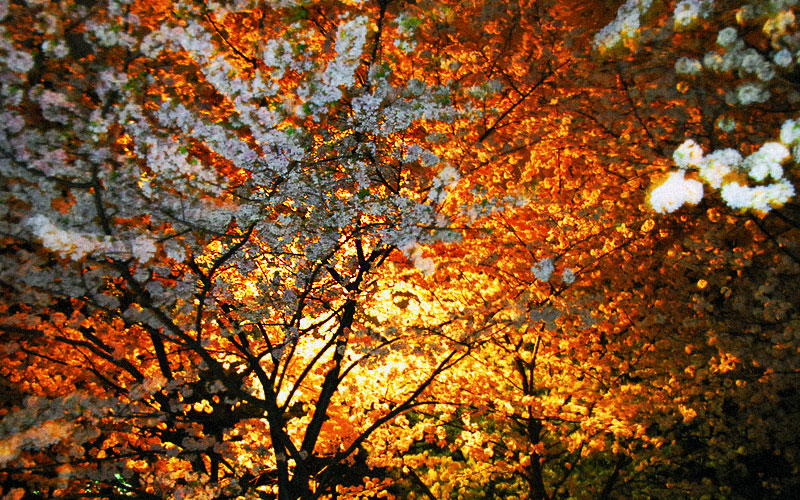 An inner warmth
